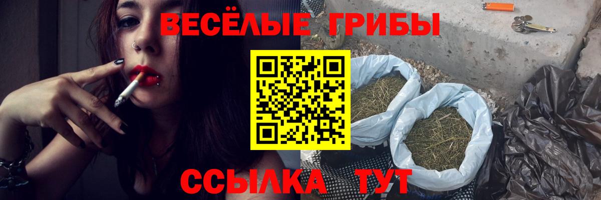 Псилоцибиновые грибы ЛСД  Галлюциногенные грибы MAGIC MUSHROOMS  Екатеринбург  Вход с VPN 